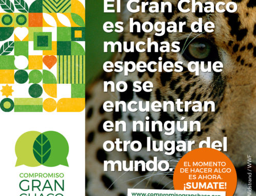 La Fundación Biodiversidad adhiere a la “Declaratoria para el futuro de la región chaqueña” dentro del marco del Compromiso para el Gran Chaco argentino 2030”. Sumate!!