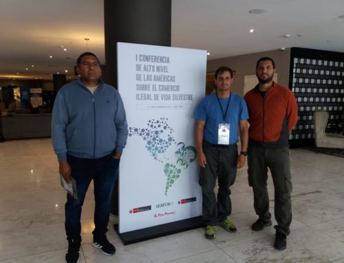 La Fundación Biodiversidad participó invitada en dos eventos sobre Tráfico Ilegal y Manejo Sostenible de Vida Silvestre en Lima